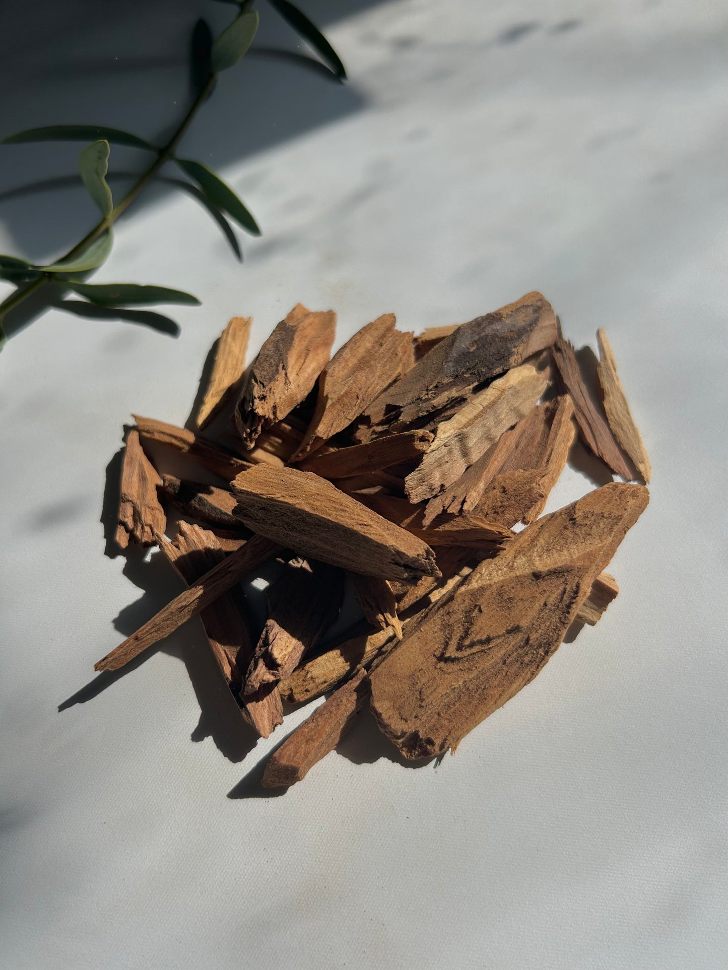 Premium Western Australian Sandalwood Big Chip