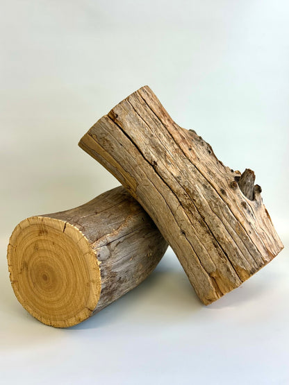 Western Australian Sandalwood Dead Logs