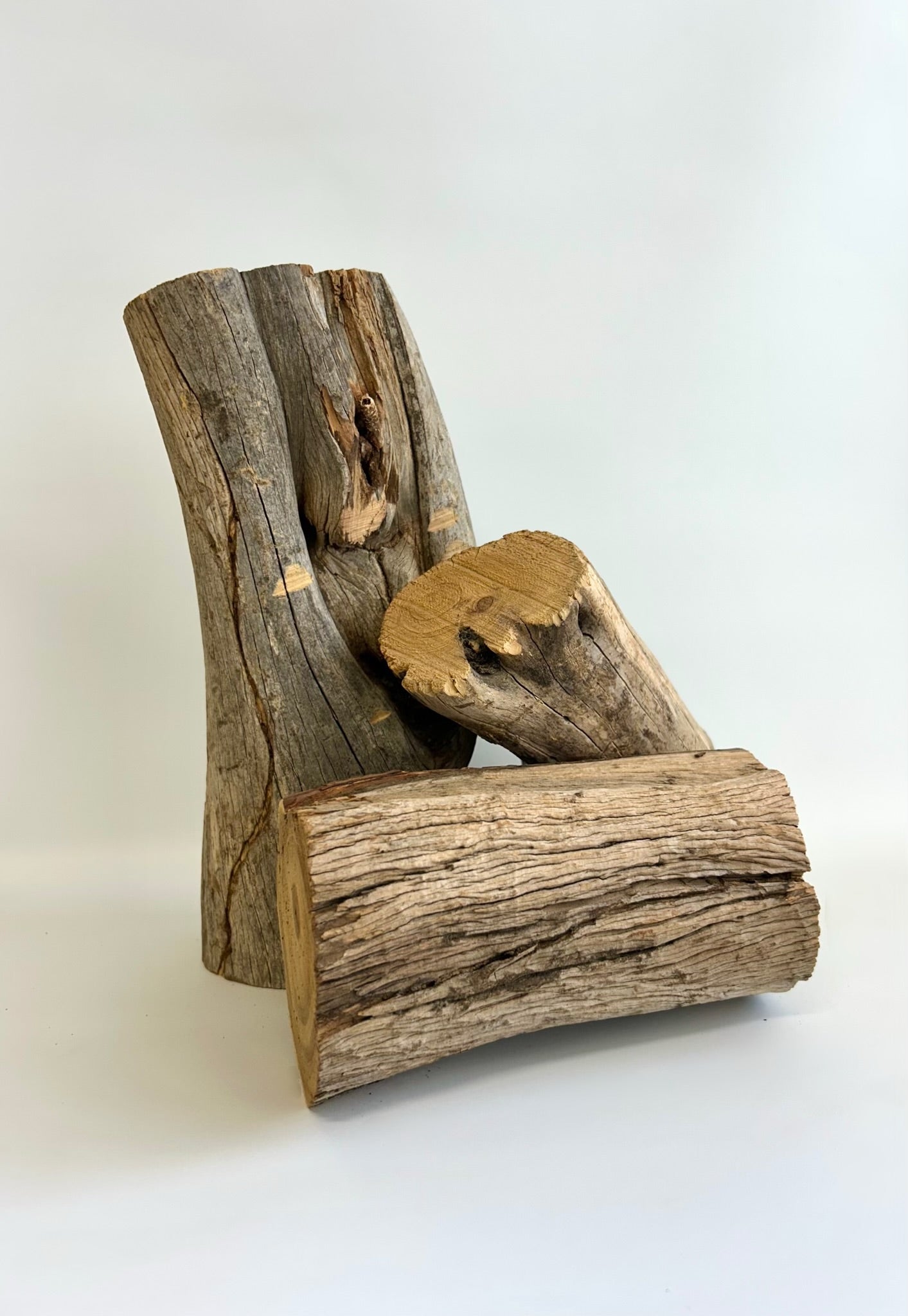 Western Australian Sandalwood Dead Logs