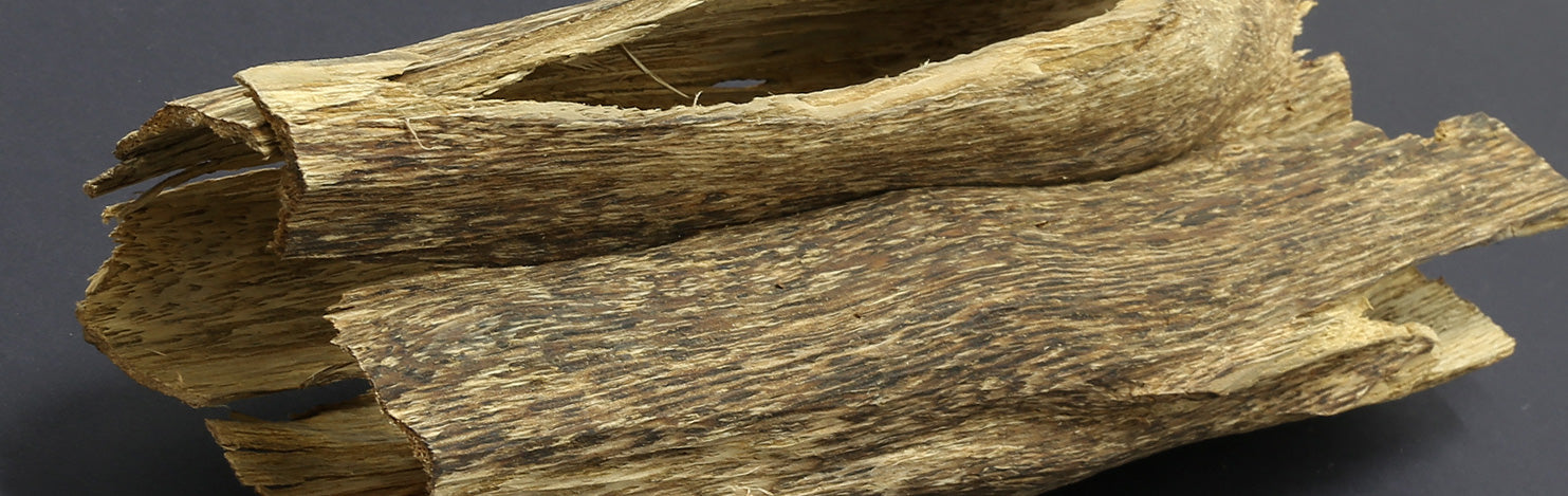 Agarwood Hydrosol - New Mountain